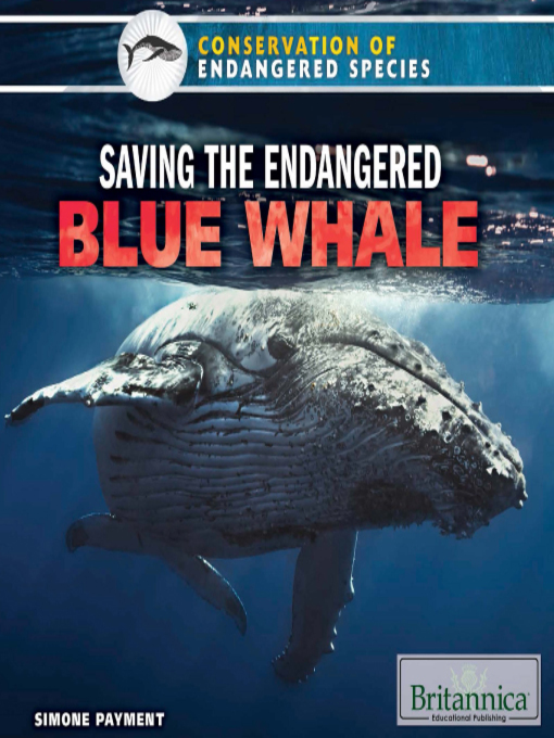 Title details for Saving the Endangered Blue Whale by Nicholas Croce - Available